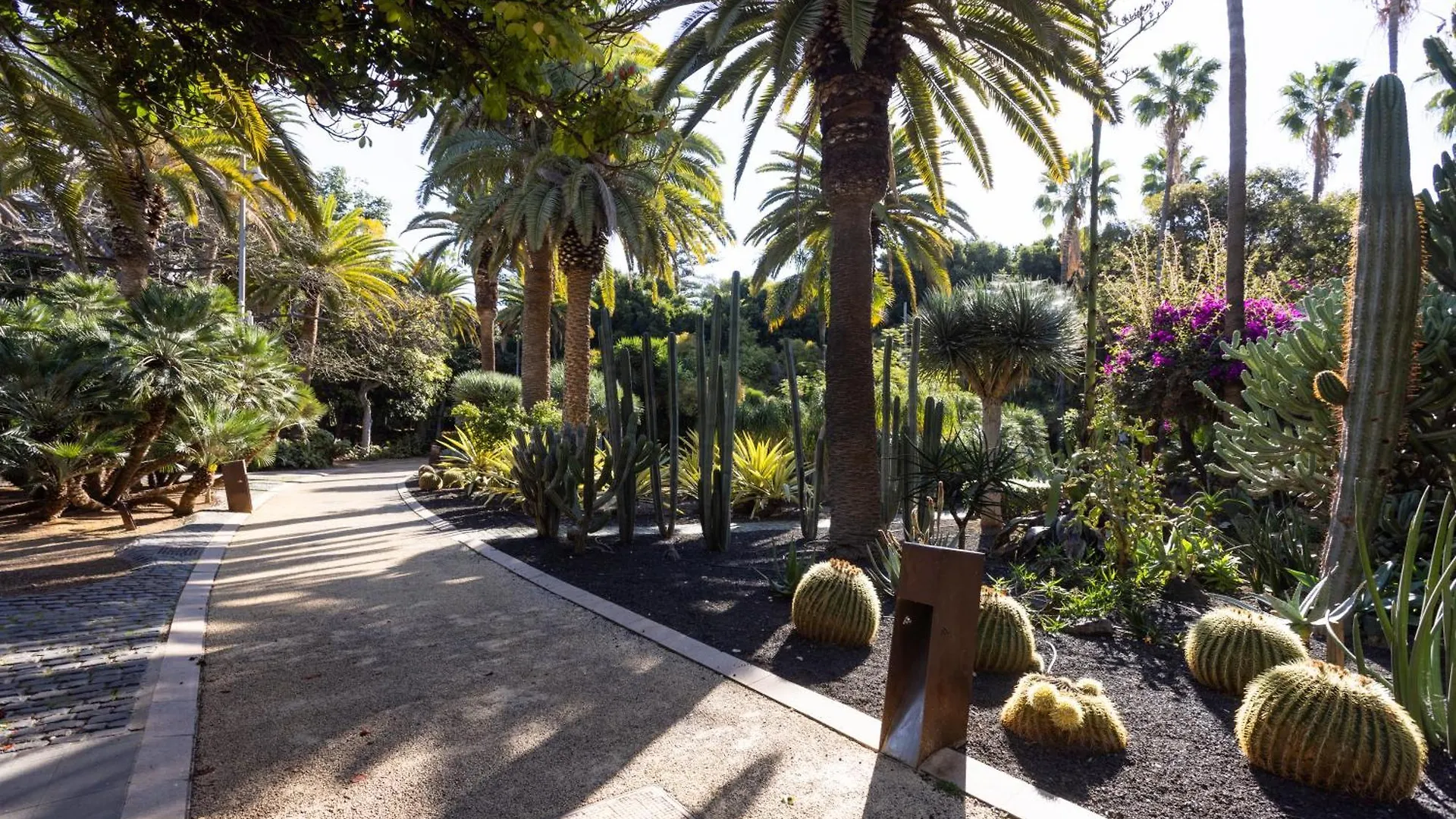 Home2Book Pleasant & Design Apt Santa Cruz Center Apartment